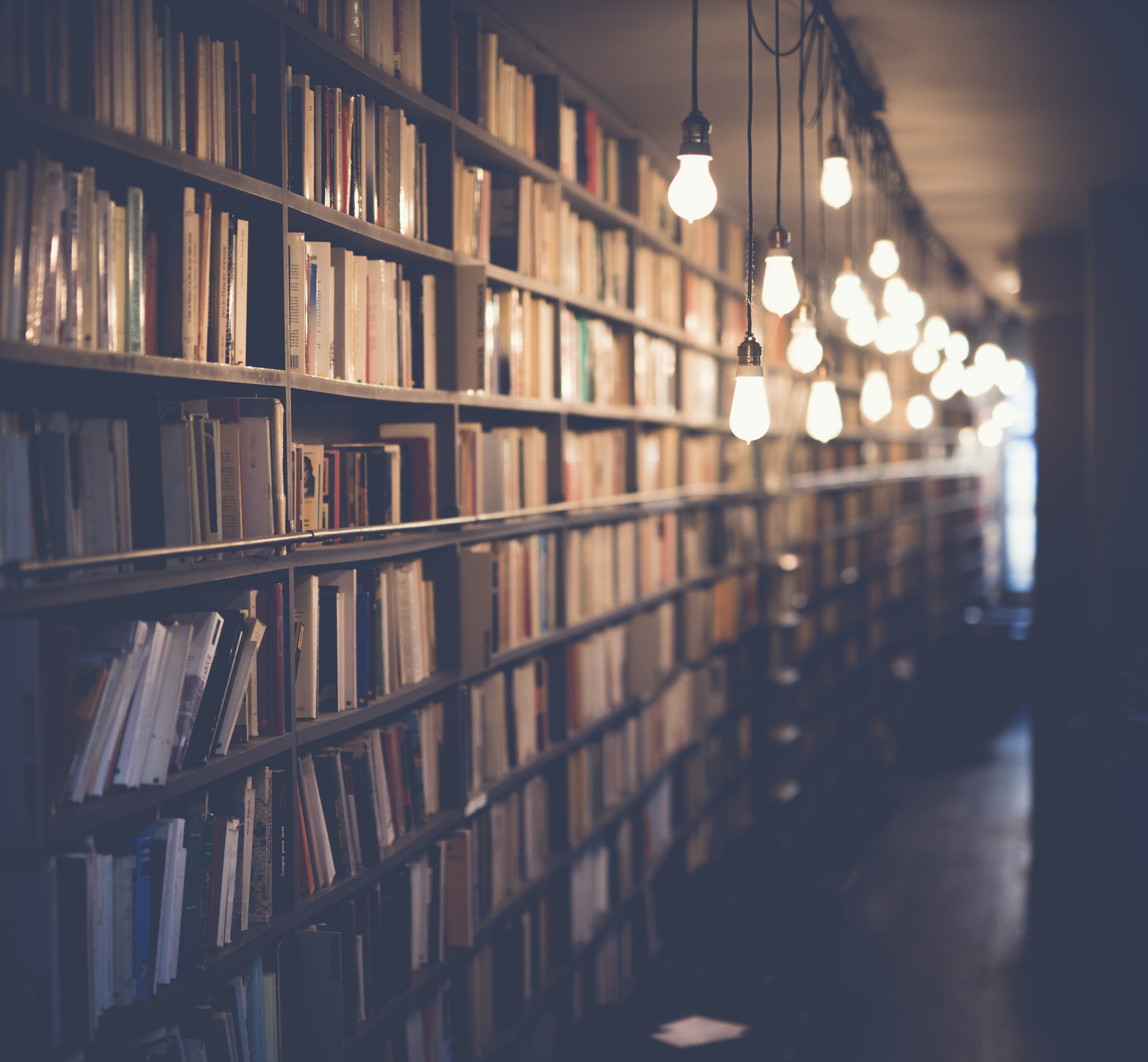 Estante de Livros Acadêmicos